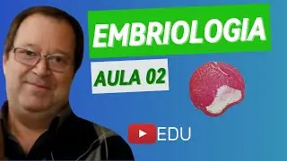 Embriog&ecirc;nese 02 - Biologia com o Prof.Strobino