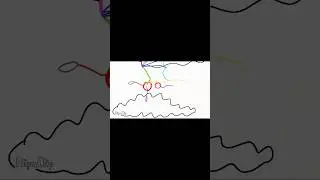 Dragon flight animation WIP #dragon #animation #flying #art #flipaclip