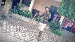 Maharaj Nagar palika 6 Bhalwari rescue king cobra viralvideo training video maharajganj kanya school