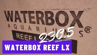 Waterbox Reef LX 230.5 Первый взгляд