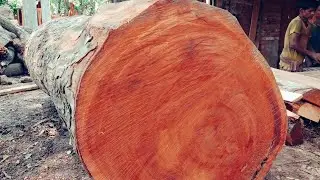 Saw mill wood cutting fastest easy cutting technique and big wood cutting skills