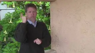 What do we do at the Deafhood Foundation