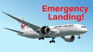 Air Preliminary Occurrence  Briefing : Japan Airlines Flight experienced Scary Bird Strike!