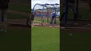 Fernando Tatis Jr taking BP at Spring Training 2023 #mlb #baseball #padres #mlbspringtraining #tatis