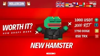 New Hamster Explained &ndash; Crypto Chest Rewards, Stats & Real Chances. 1000 USDT  But ...  #rollercoin