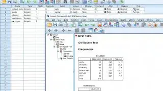 Хи-квадрат тест согласия в SPSS