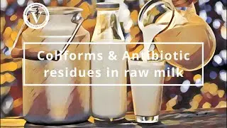 Coliform & Antibiotic Residues in raw milk | A study
