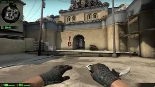 CS:GO  Driver Gloves | Lunar Weave(Well Worn)SHOWCASE