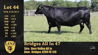 Linz Lot 44 - Bridges All In 47