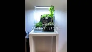 Waterfall aquarium terrarium with Ancient Stone