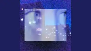 Stray.wav
