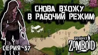 Конец богатого района | Project Zomboid 42 | Курьер #37