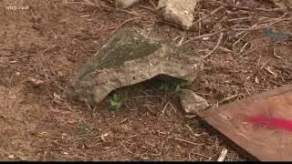 WWII veteran's grave desecrated