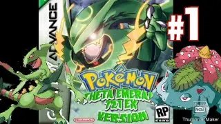 The Best Team For Pokemon Theta Emerald Ex Grass type only Run (In Hindi)