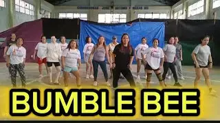 Bumble Bee II Dj Soy mix II Zumbalicious