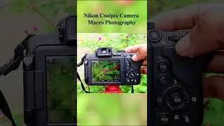 Nikon Coolpix Camera Macro Photography #nikon #nikoncoolpix