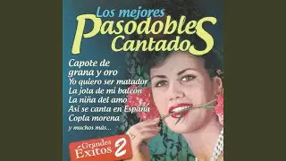Hola Amigo