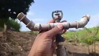 Instalando as mangueiras para irrigação