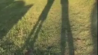 Which way did he go?