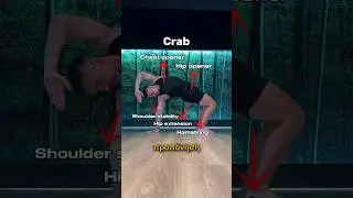 Mobility..! #animalmovement #functionalfitness #coach #bodyweightworkout #mobility