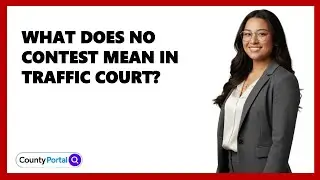 What Does No Contest Mean In Traffic Court?