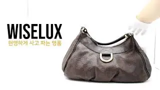 ccGucci구찌 189833 GG 로고 다크브라운 금장 호보 토트백 겸 숄더백aa12625