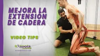 🎥 Mejora la extensi&oacute;n de cadera  - Roots videotips ✅⁣