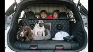 New Nissan X Trail Concept Was Made 4Dogs