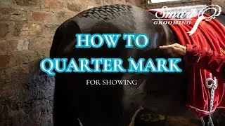 HOW TO QUARTER MARK YOUR HORSE OR PONY FOR THE SHOW RING