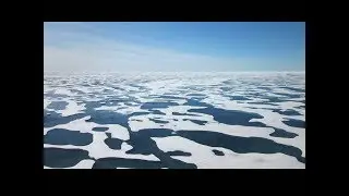 The Big Thaw: Biological Productivity Shift with Dr. Kevin Arrigo