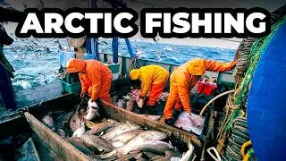 Life Aboard a Commercial FISHING SHIP In The Arctic Waters🥶