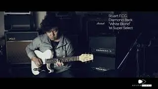 【Brush eight】Stuart F.C.G. Diamond Back 