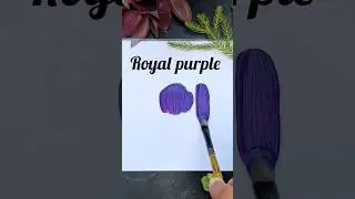 How to get royal purple colour by acrylics | acrylic colour mixing for royal purple #royal #purple