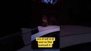 Monkey Feeding video#trending #funny #daily #comedy #nice #cute monkey Recations#Hungry Monkey 🤣😂🤣😂