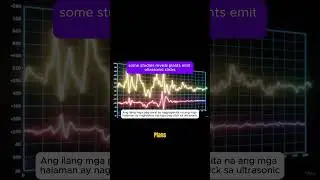 &ldquo;Do Plants Have Their Own Internet? 🌿 The Shocking Truth About Electrical & Ultrasonic Signals!&rdquo;