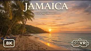 Ocho Rios 8K VR180 &mdash; Bamboo Raft Ride to a Tropical Paradise in Jamaica