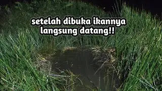 Pake tehnik ini, lele lembat malam hari auto strike terus! Mancing lembat malam hari