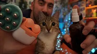 POV: Ты засыпаешь, пока я массирую тебе лицо 😴 ASMR