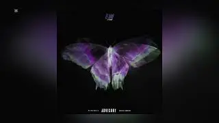 Astral44 - Te amo Ft @PLUMETAYER (officiel music audio)