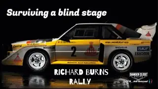 Richard Burns Rally- Finally surviving a Blind Stage