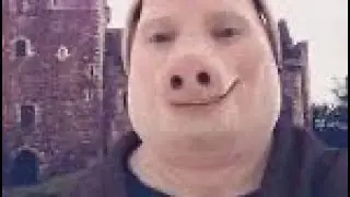 John pork is calling meme green screen free to use