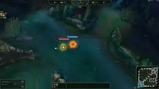 Samira&acute;s bug