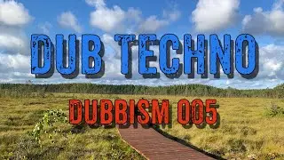 Dub Techno Mix 2021 | DUBBISM 005 - Svetiritm