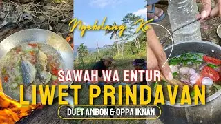 NASI LIWET PRINDAVAN ALA SI AMBON 😂❗SERUNYA BERBURU KANGKUNG DAN GENDOT LIAR DI SAWAH WA ENTUR