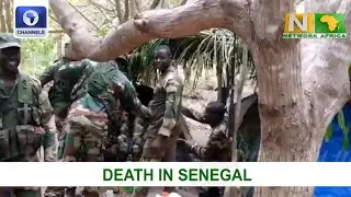 Death In Senegal, Gambia Coup, Ethiopia Forces Displace Rebels +More |Network Africa