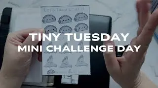 $40 Tiny Tuesday Mini Challenges | Australian Cash Stuffing | Single Income  #aussiecashstuffing