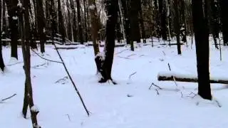 Hiking with K9 Kwencher