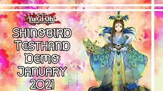 Yu-Gi-Oh! Shinobird Testhand Demonstration January 2021