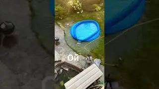 Бассейну кранты🥲