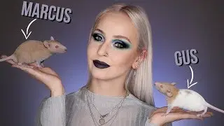 JE VOUS PRÉSENTE MES RATS !! (+ à savoir)